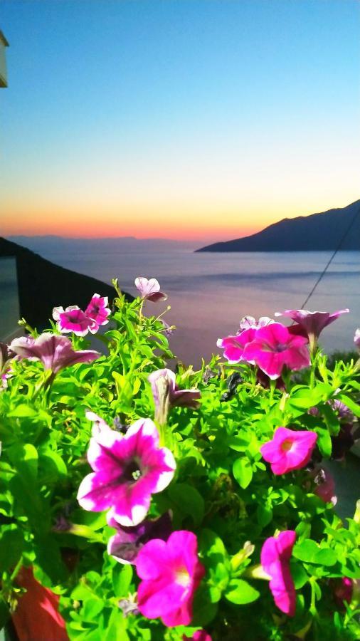Alkyon Suites Agios Vasilios  エクステリア 写真